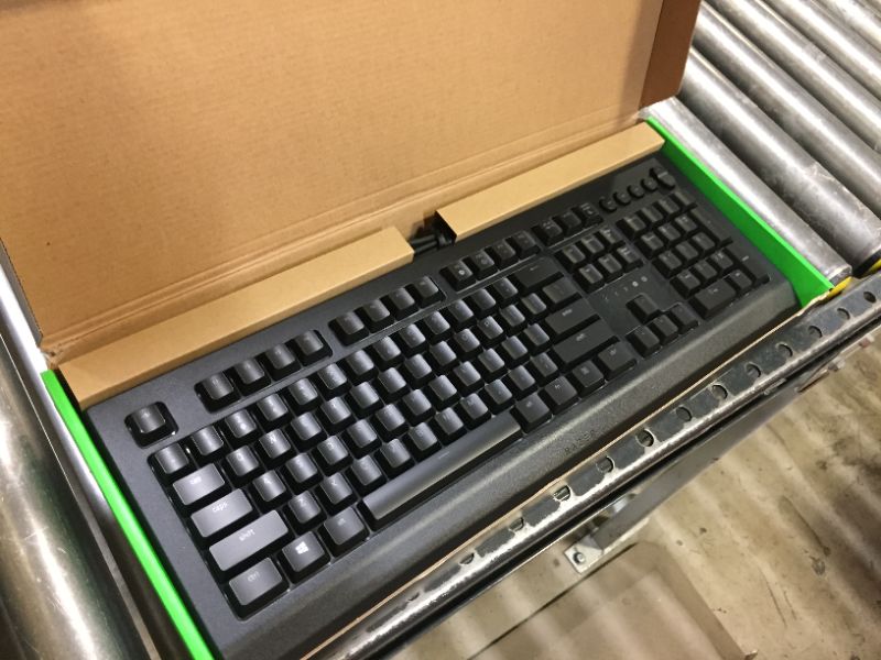 Photo 2 of Razer Cynosa V2 Gaming Keyboard: Customizable Chroma RGB Lighting - Individually Backlit Keys - Spill-Resistant Design - Programmable Macro Functionality - Dedicated Media Keys