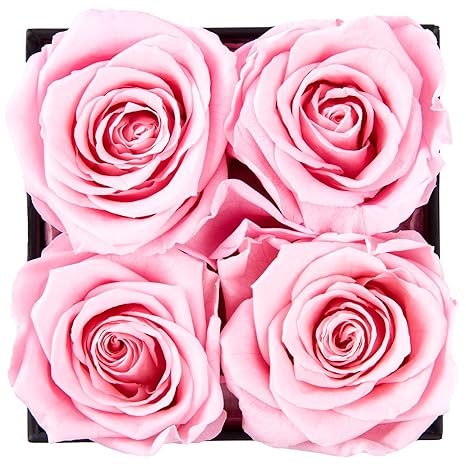 Photo 1 of  Flowers for Delivery Prime - Roses in a Box - Fresh Flowers - Forever Rose - Birthday Gifts for Women - Preserved Roses, Gifts for Mom/Girlfriend/Wife/Grandma