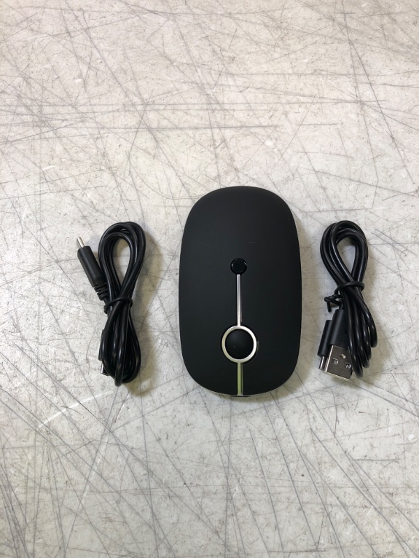 Photo 1 of MOUSE 
