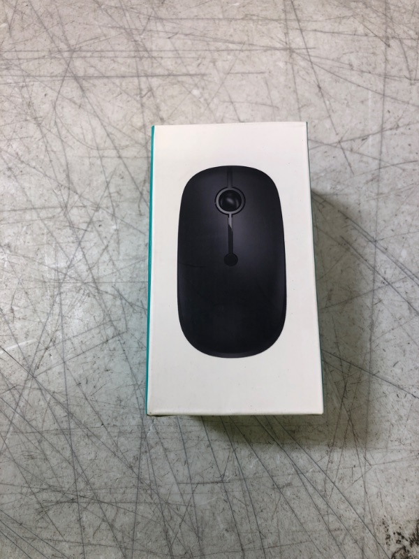 Photo 1 of MOUSE 