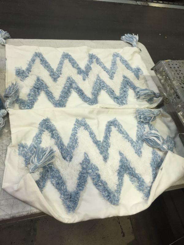 Photo 1 of PILLOW COVERS 2PCS 