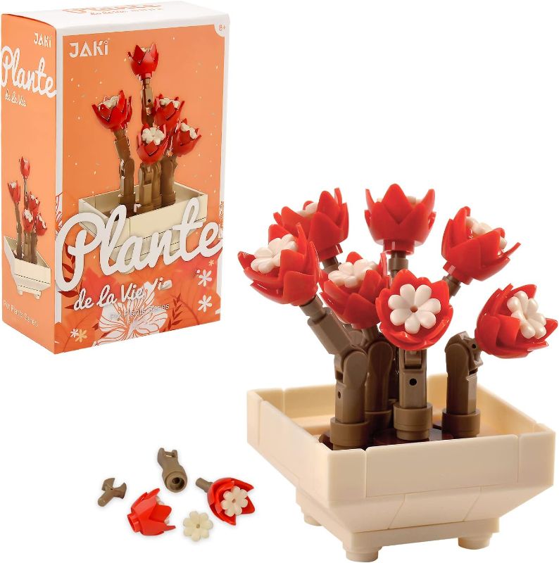 Photo 1 of GEVINST Succulent Set, Plant Sets for Adults, Build a Succulents Display Piece for The Home or Office (79 Pieces)
