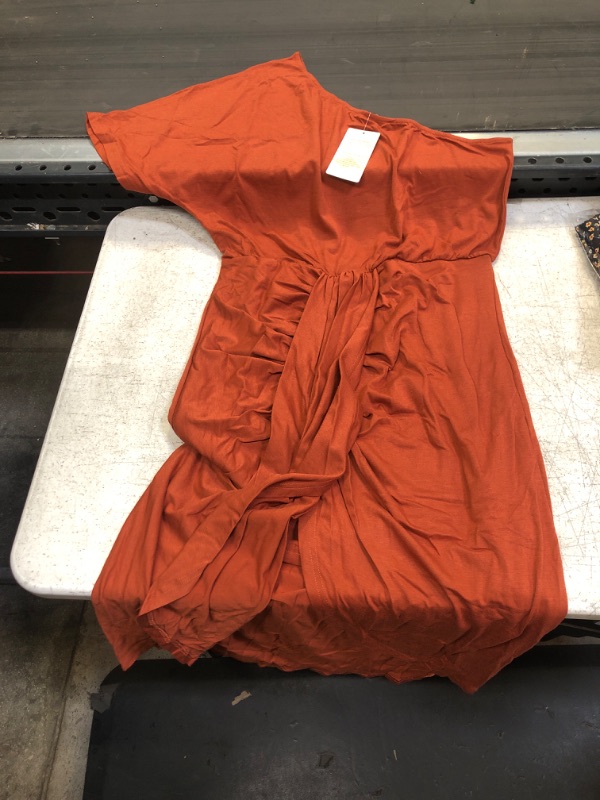 Photo 1 of Burnt Orange Dress XL 