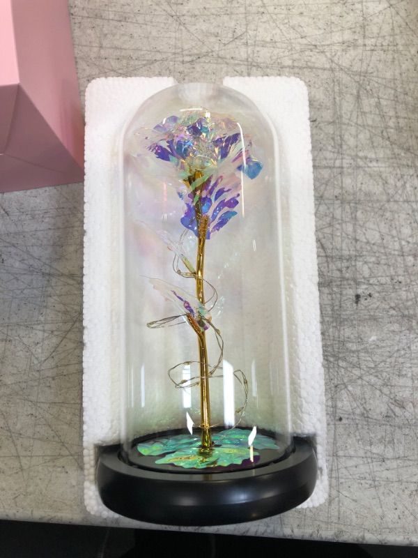 Photo 1 of Alagoo Preserved Rose Flower Mom Gifts Rose Flower Gifts for Her, Mothers Day Womens Day Gifts, Birthday Gift for Women, Light Up Rose in A Glass Dome (Rainbow)
