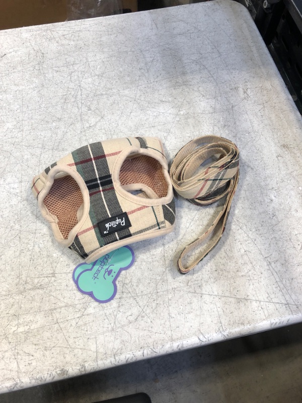 Photo 1 of Harness for small dogs/cats
