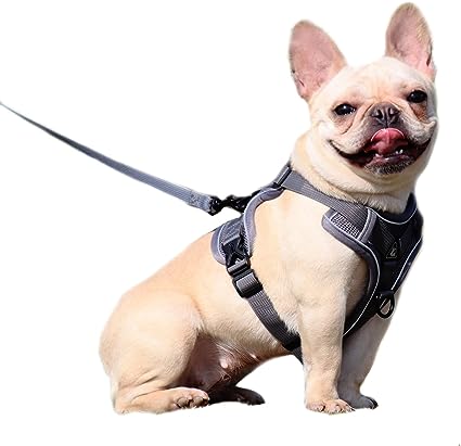 Photo 1 of Masohany Pull Dog Harness Set Reflective Straps Breathable Mesh Soft Padded Escape-Proof Puppy Cat Vest Harness with D-Ring Adjustable Pet Halter Harnesses Leash 4.9ft Cats Dogs Medium Grey
