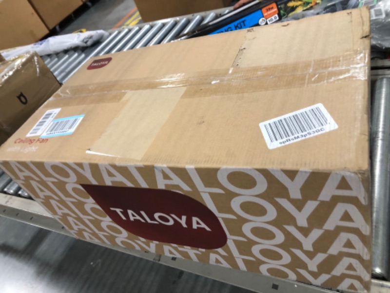 Photo 1 of TALOYA 22 inch Ceiling Fan with 3 Color Temperatures Light and Remote Control DC Moter Powerful and Quiet White White 22 inch