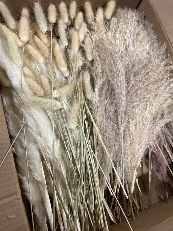 Photo 3 of 110 PCS Dried Pampas Grass Bouquet, Boho Table Decor, Bunny Tails Dried Flowers, Brown Pompas, White Pampas Grass for Wedding, Home, Rustic Party, Baby Shower Decorations 110pcs