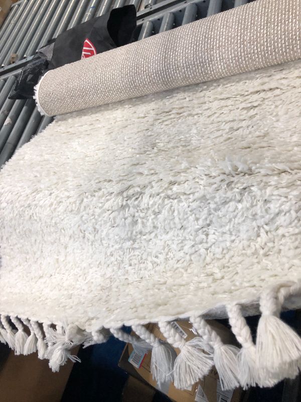 Photo 3 of 
***** NEEDS CLEANED**** nuLOOM Neva Plush Shag Runner Rug, 2' 6" x 6', Ivory Ivory 2' 6" x 6'