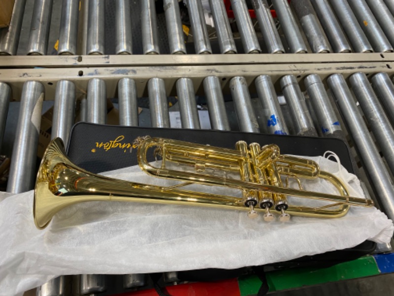 Photo 3 of Aileen Lexington Standard Gold Bb Student Model Trumpet Includes Hard Case, Cleaning Rod and Cloth, Gloves
