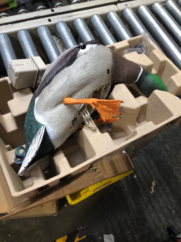 Photo 3 of Avian-X PowerFlight Mallard Decoy | Spinning Wing Duck Decoy