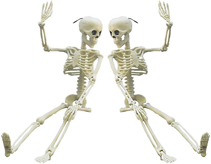 Photo 1 of Anditoy 2 Pack 15" Full Body Halloween Skeletons Movable Joints Skeleton Toys for Indoor Outdoor Halloween Decorations Party Supplies Decor