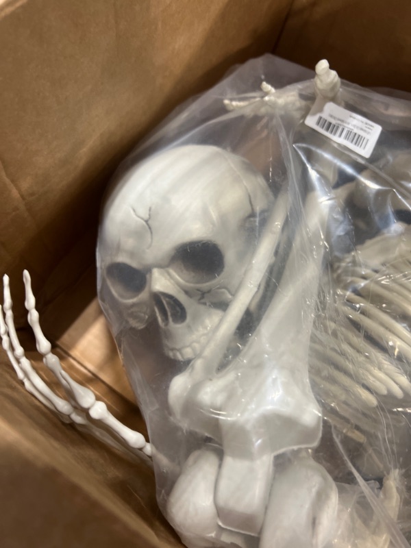Photo 1 of 5.4Ft Halloween Life Size Human Skeletons with Dog Skeleton,Poseable Life Size Skeletons Plastic Human Bones with Movable Joints for Halloween Decoration Halloween Human Skeletons Dog skeleton
