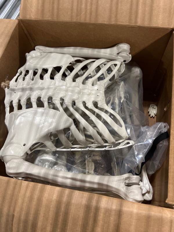Photo 1 of 5.4Ft Halloween Life Size Human Skeletons with Dog Skeleton,Poseable Life Size Skeletons Plastic Human Bones with Movable Joints for Halloween Decoration Halloween Human Skeletons Dog skeleton