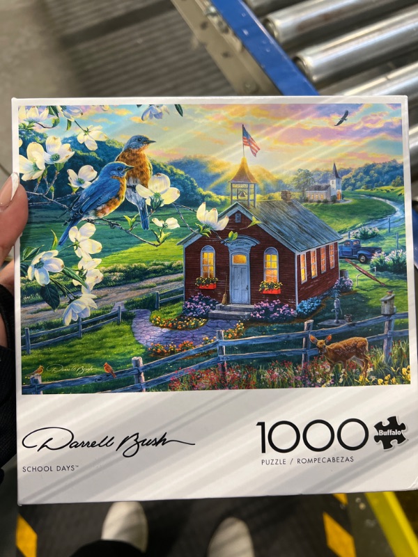 Photo 1 of Buffalo Games - Darrell Bush - School Days - 1000 Piece Jigsaw Puzzle