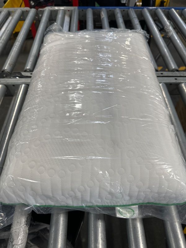 Photo 2 of BioPEDIC Classic Ultra-Fresh Memory Foam Pillows, Standard, White White Standard