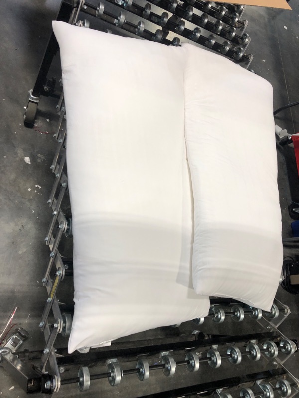 Photo 1 of 2 PILLOWS 