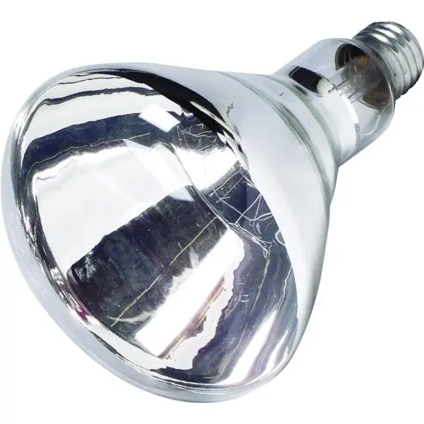 Photo 1 of 12 Reflector Bulb 250w Heat Clear 130v