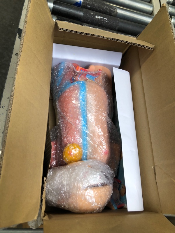 Photo 1 of VEVOR Human Body Model 23 Parts 17inch Life Size Human Anatomy Model Unisex Human Torso Models Anatomical Skeleton Model Educational Teaching Tool for Medical Students Science Learning 17 Inch