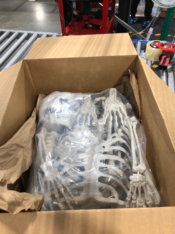 Photo 2 of Evinis 5.4ft/165cm Halloween Realistic Full Body Skeleton Life Size Human Bones with Movable Joints for Halloween Party Prop Decoration