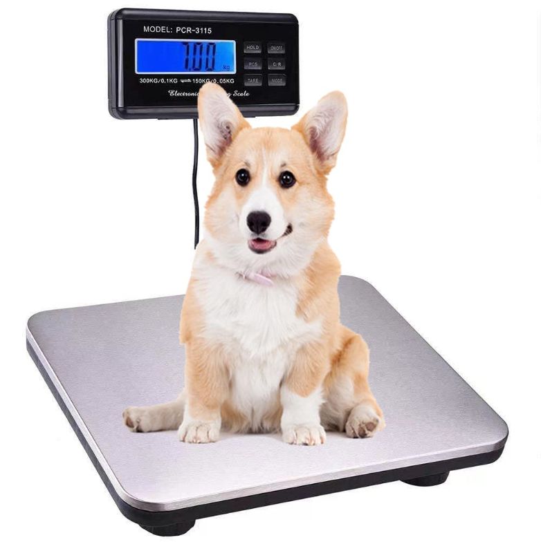 Photo 1 of Flexzion Digital Shipping and Postal Scale, Heavy Duty Stainless Steel Platform, 440Lbs 200KG Weight Capacity with LCD Backlight Display and AC Adapter
*not exact picture*-blue protection film on scale*

