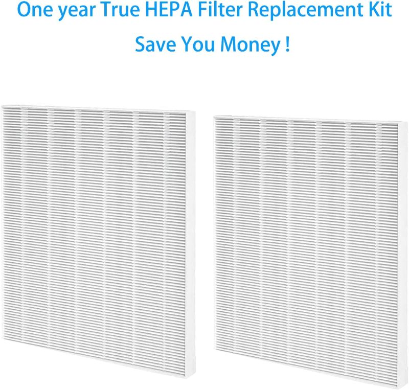 Photo 1 of 2 Pack True HEPA D4 Replacement Filters Compatible with Winix D480 Air Purifier, Item Number 1712-0100-00, Filter D4