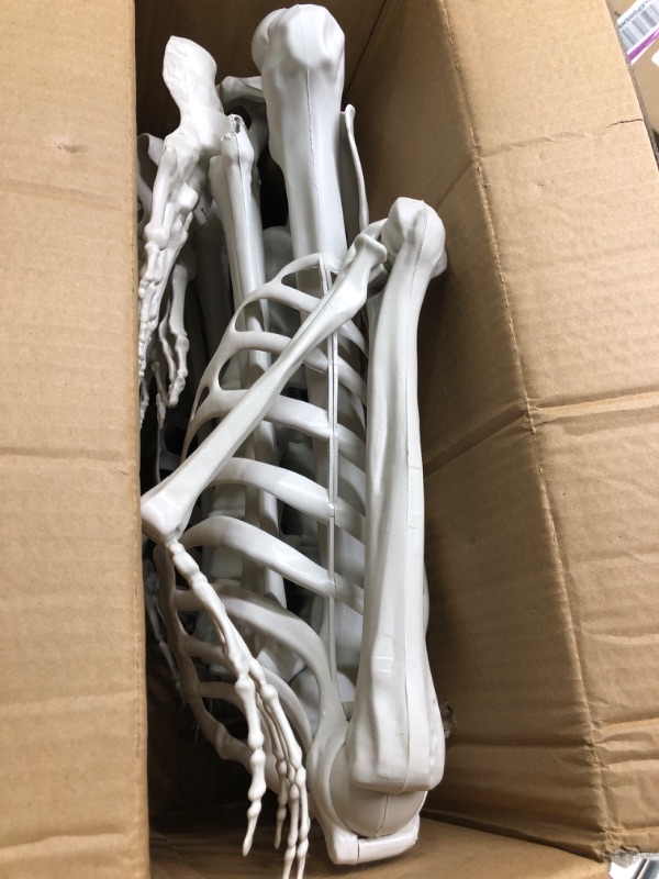 Photo 2 of 5.4ft/165cm Halloween Skeleton, Halloween Plastic Human Realistic Skeletons Life Size Full Body Bones with Movable Joints for Halloween Props Spooky Scene Party Decoration 5.4ft Halloween Skeleton