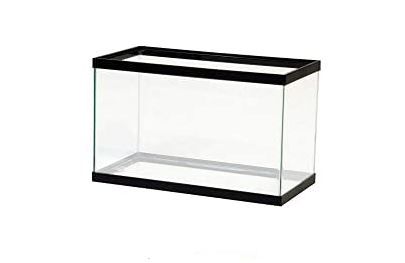 Photo 1 of Aqueon 10 Gallon Glass Aquarium with Fresh Air Screen Bundle Tank with Terrarium Screen