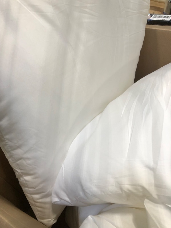 Photo 2 of 4 White Insert Pillows 