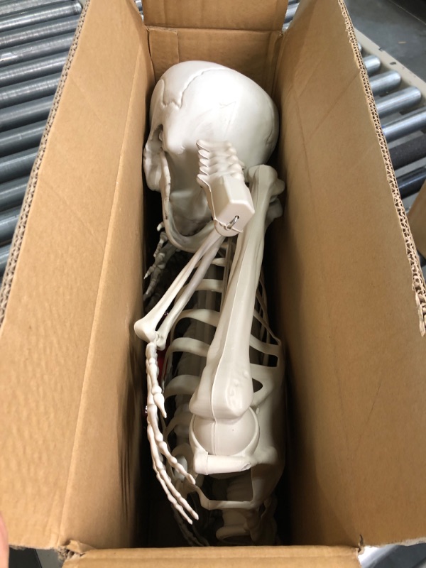 Photo 3 of WODMAZ 5.4ft Halloween Life Size Skeleton, Full Size Realistic Human Pirate Skeleton Decoration, Full Body Bones with Posable Joints for Halloween Spooky Party Decoration, Indoor Outdoor Props Decor 5.4ft Skeleton