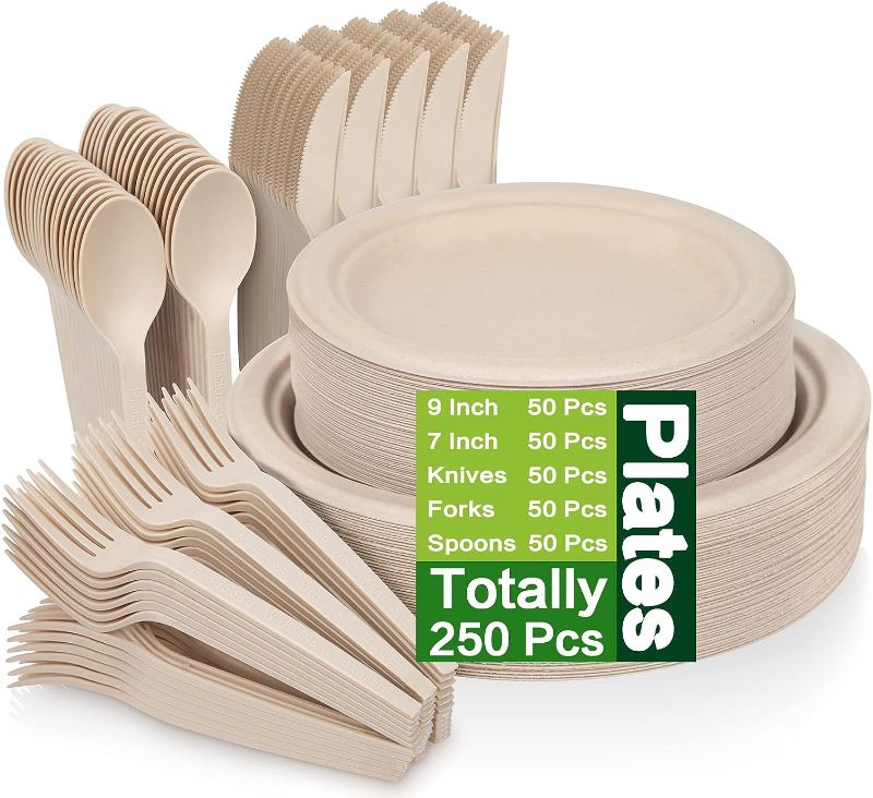 Photo 1 of 250 Piece Compostable Paper Plates Set with Extra Long Utensils, Sugarcane Fibers Disposable Dinnerware Set, Eco Friendly Biodegradable Plates, Cups, Spoons, Fork for Party, Camping, Picnic 