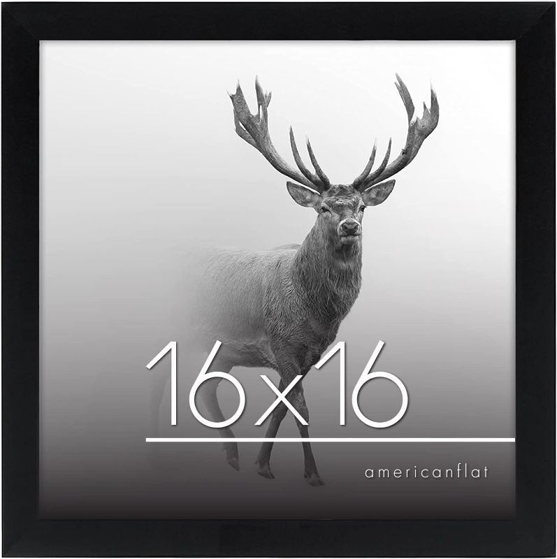Photo 1 of 16x16 Poster Frame in Black - Composite Wood with Polished Plexiglass - Horizontal and Vertical Formats for Wall