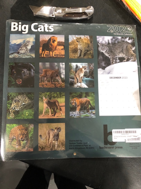 Photo 2 of 2023 Big cat Calendar 