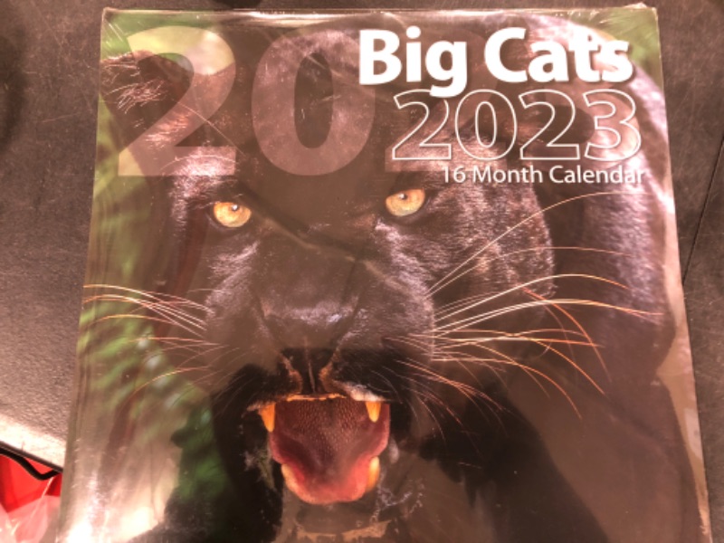 Photo 1 of 2023 Big cat Calendar 