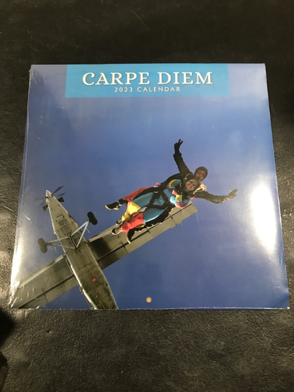 Photo 2 of 2023 Carpe Diem Monthly Wall Calendar by Red Robin Calendars 12" x 12"