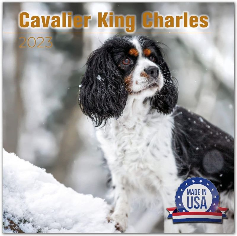 Photo 1 of 2022 2023 Cavalier King Charles Calendar - Dog Breed Monthly Wall Calendar - 12 x 24 Open - Thick No-Bleed Paper - Giftable - Academic Teacher's Planner Calendar Organizing & Planning - Made in USA 