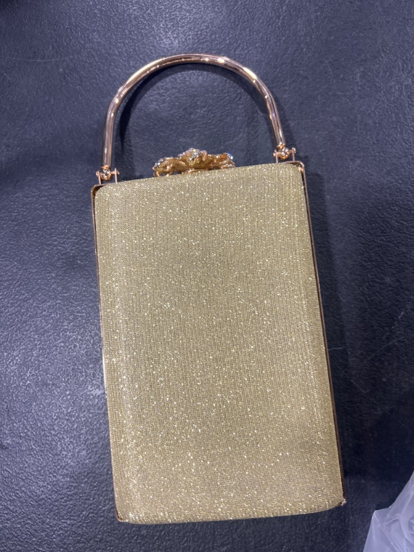 Photo 1 of Mini Clutch Bag 