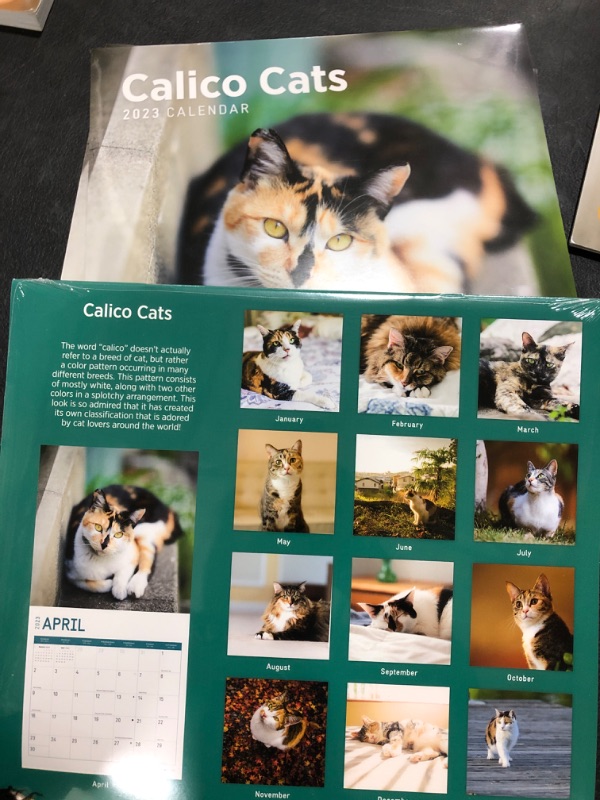 Photo 2 of 2023 Calico Cats Wall Calendar by Bright Day, 12x12 Inch, Cute Adorable Pet Kitten Photography