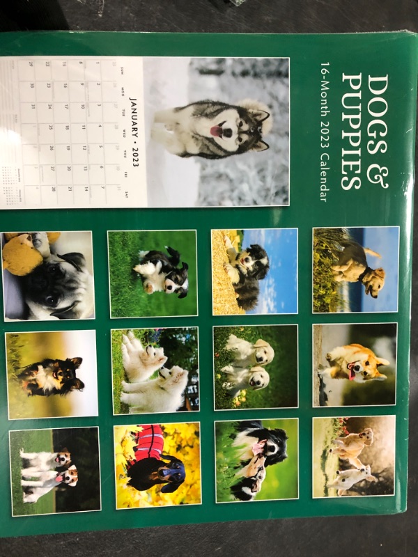 Photo 2 of 2023 Dogs & Puppies Monthly Wall Calendar by Red Robin Calendars 12" x 12"