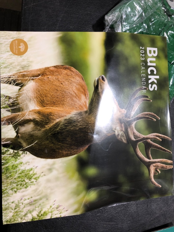 Photo 2 of 2023 Bucks Wall Calendar by Bright Day, 12x12 Inch, Deer Beautiful Wildlife Nature Animal Hunting Photography