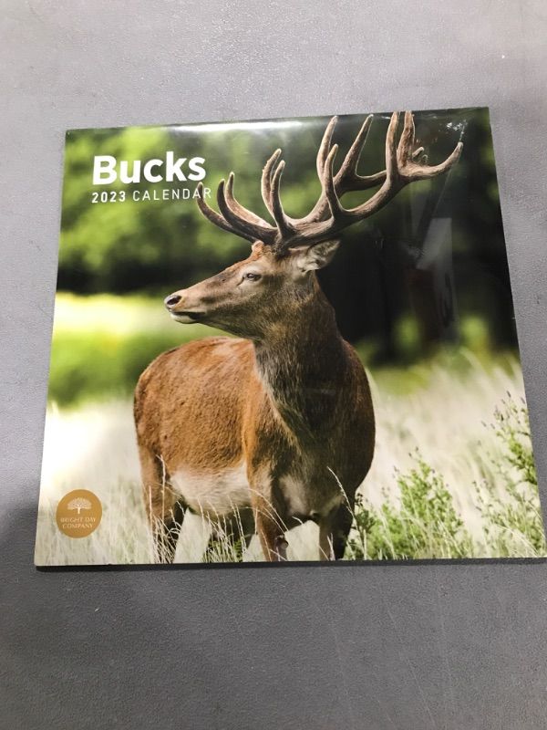 Photo 2 of 2023 Bucks Wall Calendar by Bright Day, 12x12 Inch, Deer Beautiful Wildlife Nature Animal Hunting Photography