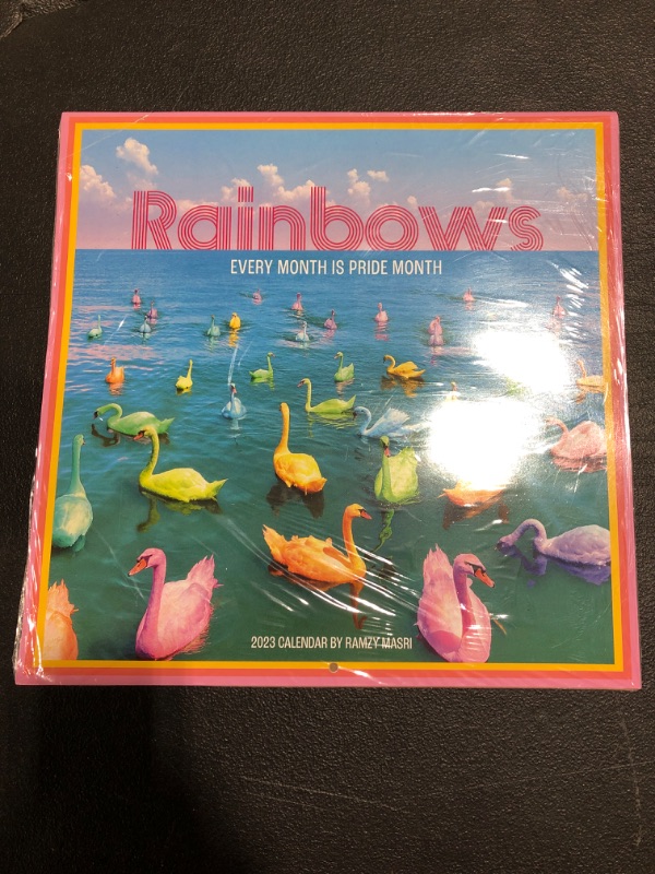 Photo 2 of Rainbows Wall Calendar 2023 Every Month Is Pride Month
