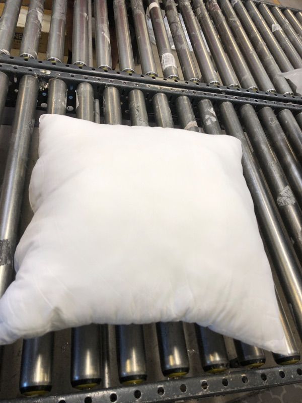 Photo 2 of  Pillow Insert - 15"x15" Pillow Form