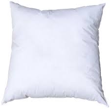 Photo 1 of  Pillow Insert - 15"x15" Pillow Form