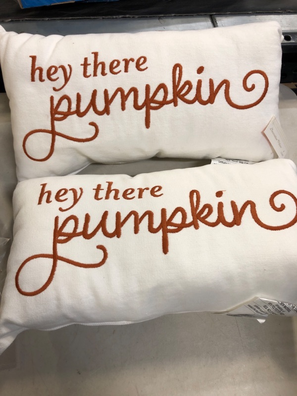 Photo 1 of 2Pack  Autumn Fall Pillow Decor 10x18inch