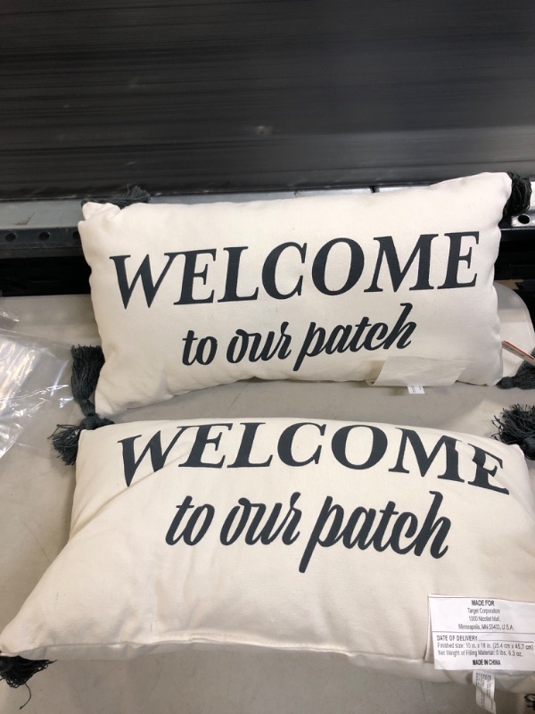 Photo 1 of 2Pack  Welcome to Our Patch decorative pillow