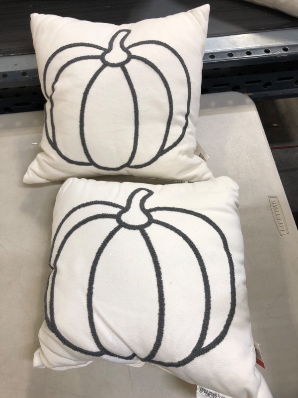 Photo 1 of 2Pack Small Decorative Pillow