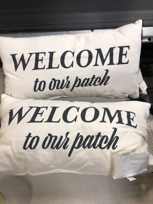 Photo 1 of 2Pack Decorative pillow 10x18inch