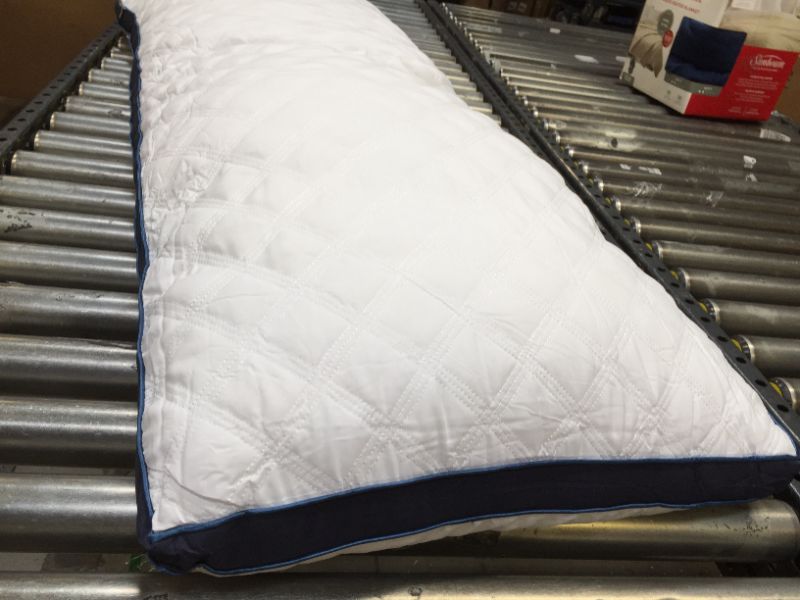 Photo 1 of 21X54 LARGE BODY PILLOW  PILLOW