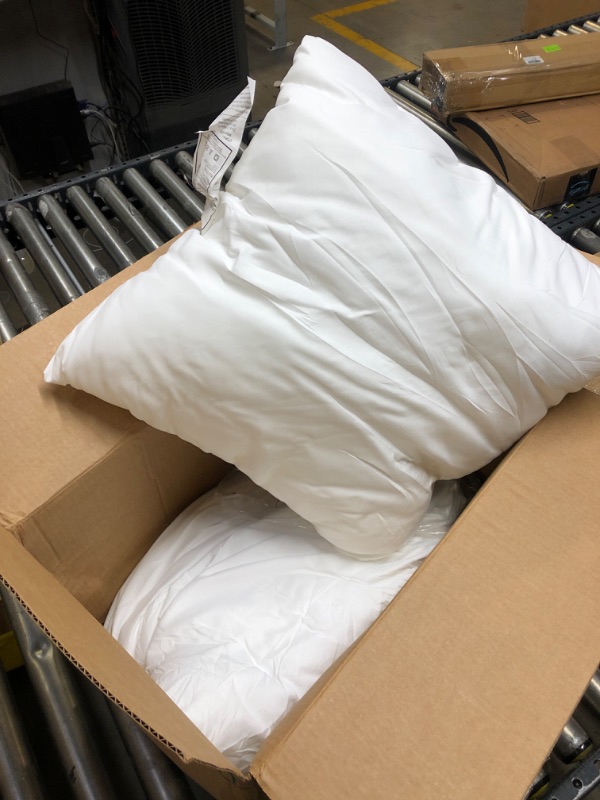 Photo 1 of 2 PACK OF WHITE SMALL PILLOWS 